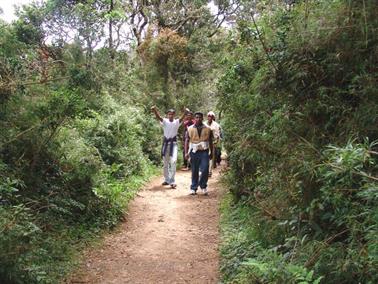 Bandarawela,_World`s_End,_DSC07016B_H600